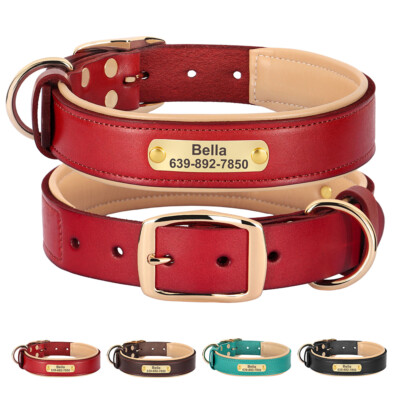 Soft Leather Padded Personalized Dog Collar Pet Nameplate ID