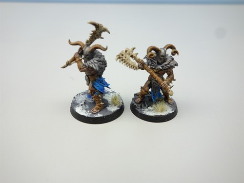 Warhammer: Age of Sigmar - Warcry Untamed Beasts (painted) - Picture 3 of 10