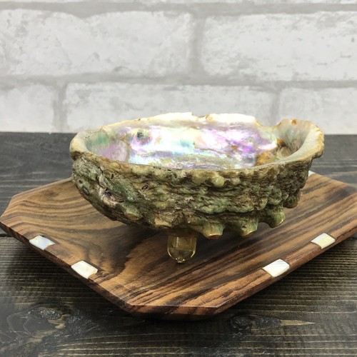 Vtg Footed Oyster 5” shell On 6 1/2” Wood display tray Oyster Pearlescent - Picture 2 of 12