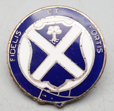 WWII 113th Infantry Regiment Fidelis Et Fortis DI Unit Crest Pin RARE VARIATION