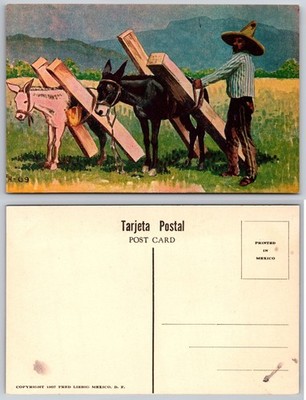 Worker Donkeys Mountains Mexico Postcard