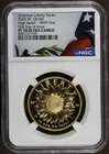 2025-W (PF70 DCAM) American Liberty High Relief 1 oz Gold $100 NGC - FDOI