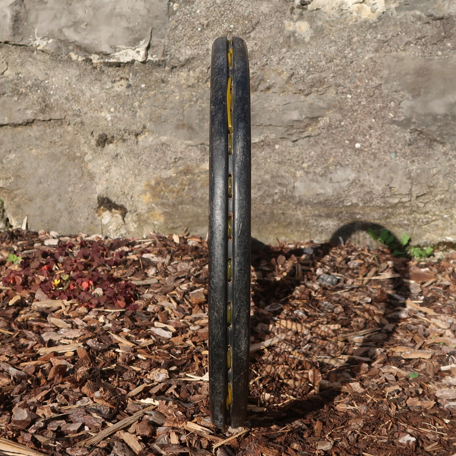 Picture 5 of 11