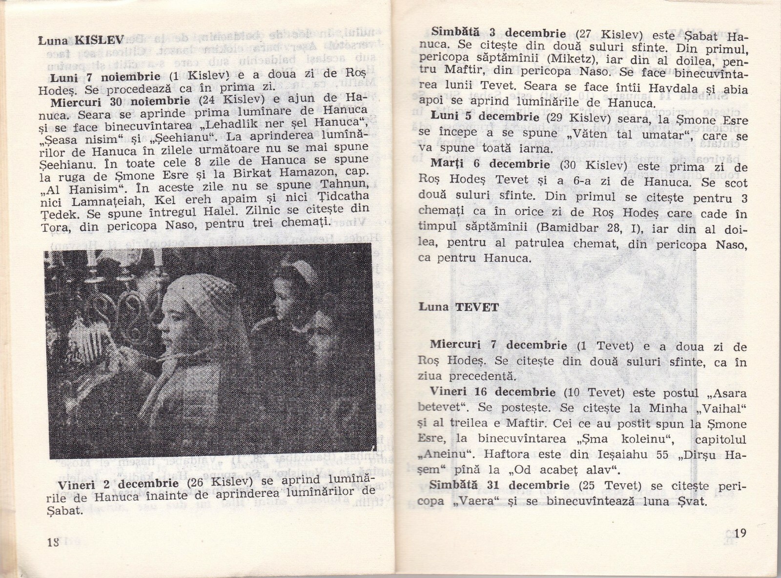 Imagen 3 de 12