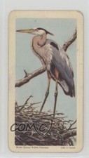 1962 Brooke Bond Red Rose Birds of North America Tea Great Blue Heron #4 1d0j