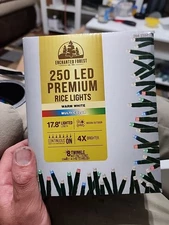 250 LED Premium Rice Lights