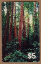 بطاقات ومقتنيات Dense Forest