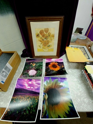 VINCENT VANGOGH SUNFLOWER PAPER PRINT AND COVEYS ORIGINAL PRINTS SUNFLOWERS - Picture 1 of 9