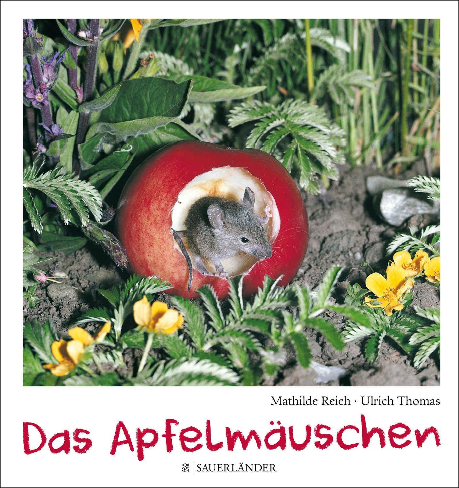 Thumbnail - Das Apfelmäuschen | (mini-ausgabe) | Mathilde Reich | Buch | 40 S. |