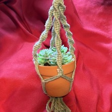 Mini Macram  Plant Hanger Green Cord for Succulent Pot