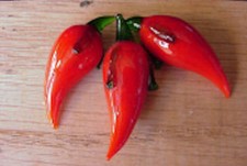 Red Chili (Glass), Fake Food Props, Gel Candle Embeds, Set of 6