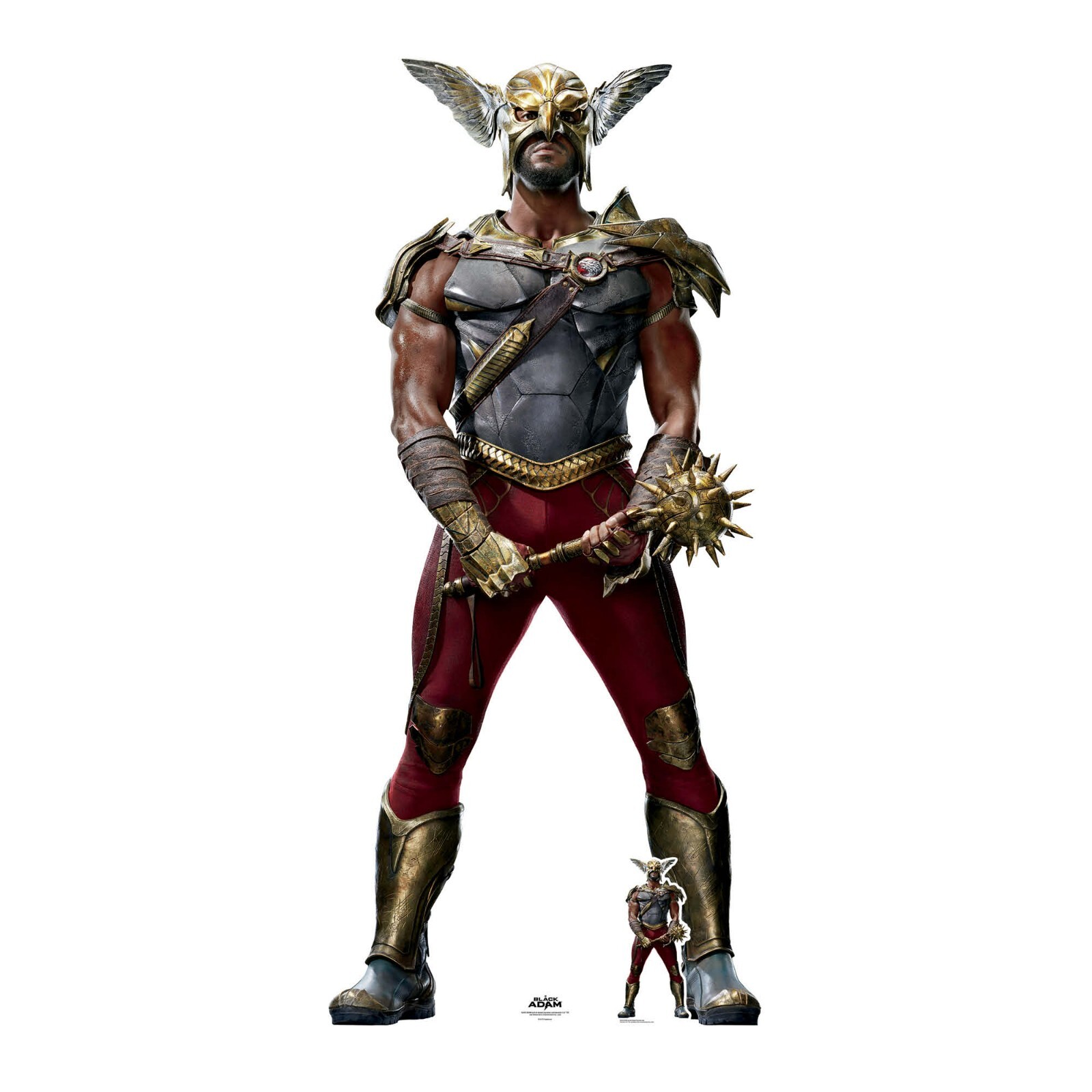 Hawkman from Black Adam Official Lifesize and Mini Cardboard Cutout Aldis Hodge