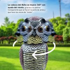Bild 8 von 13