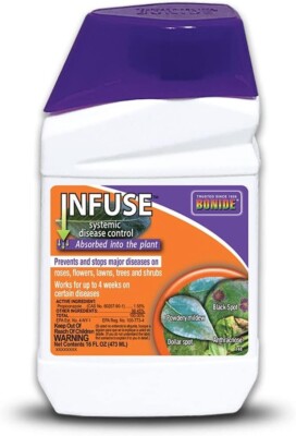 Bonide Infuse Systemic Disease Control, Concentrated Solution for Plant - 16 oz
