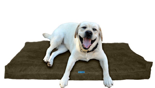 shredded memory foam dog bed