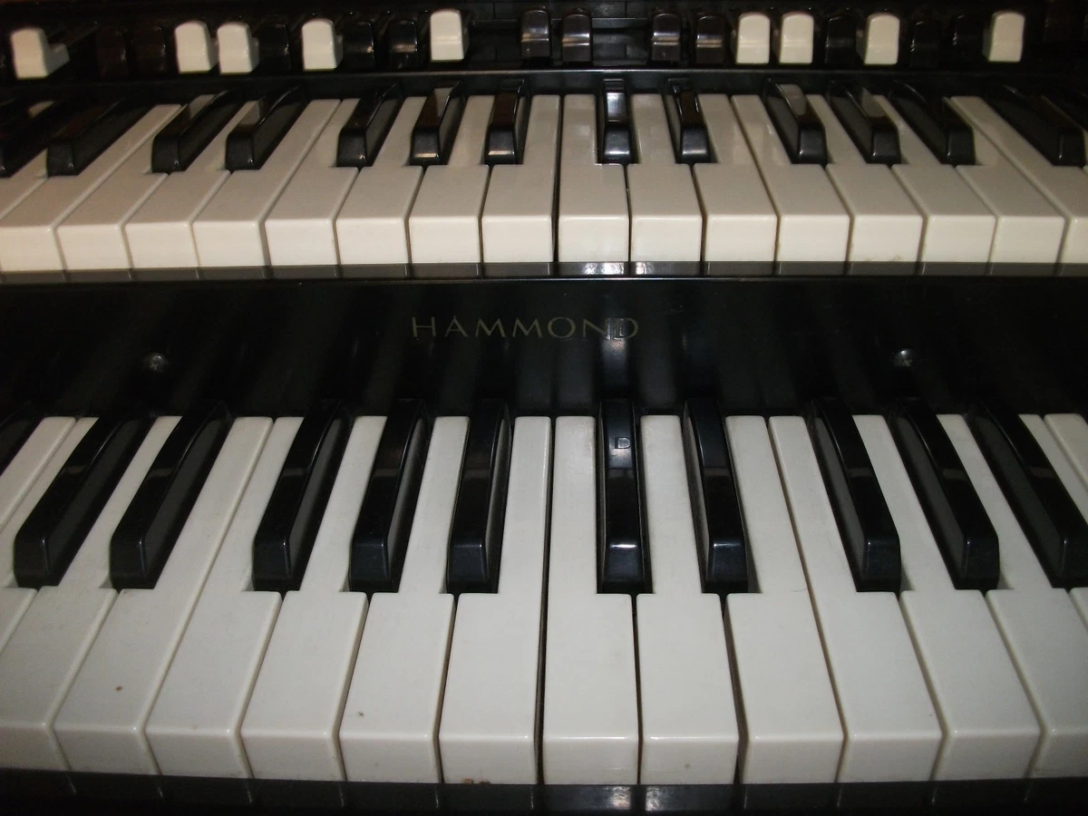 Ebay hammond b3 deals