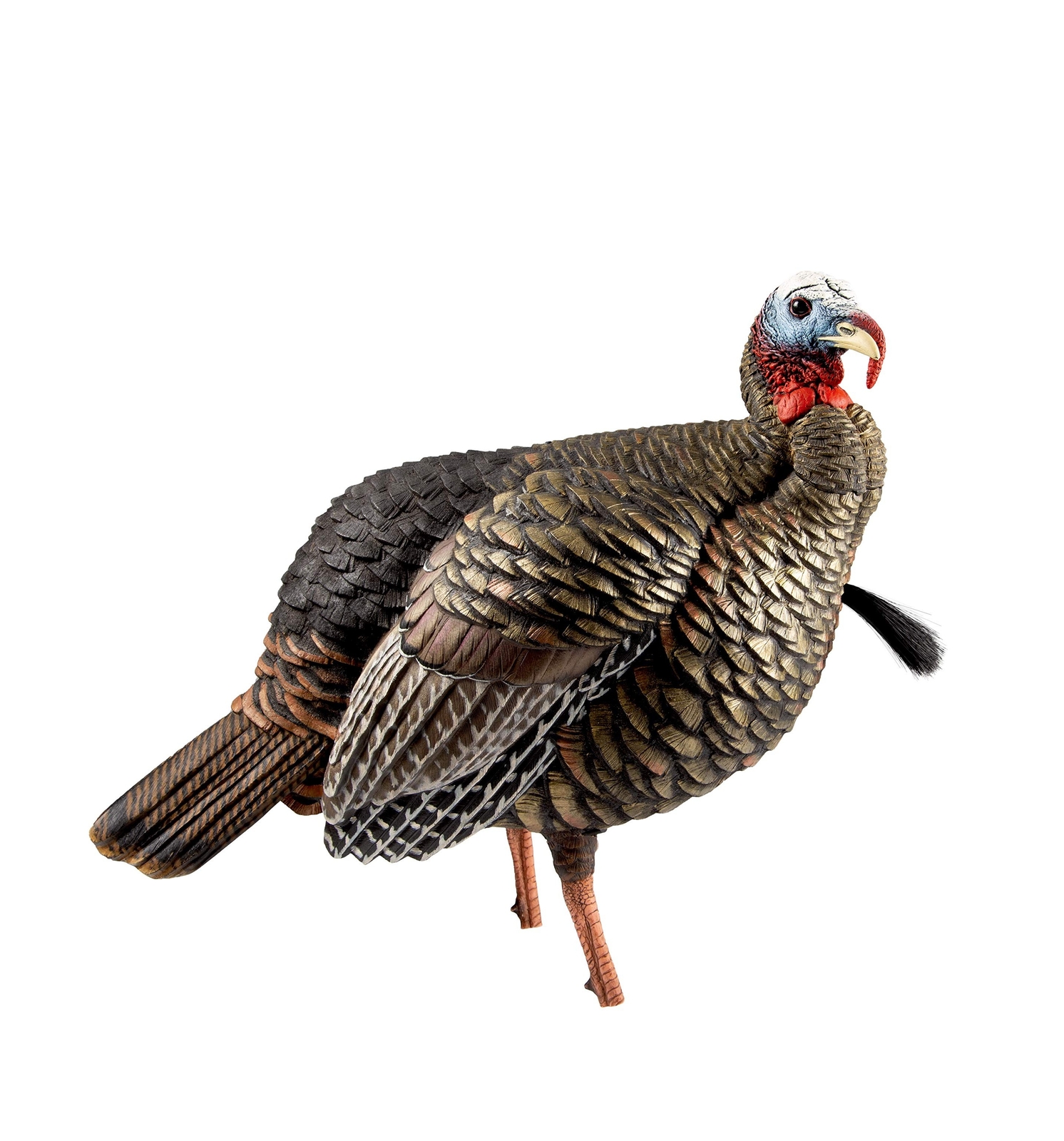 AvianX HDR Jake Turkey Decoy Rugged Durable Realistic Lifelike