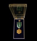 1950s US Army Commendation Medal in Acrylic Case w/ USAF Award Photo - NAMED — photo 6