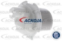 Ackoja Kraftstofffilter A53-0303 FüR Hyundai Kia