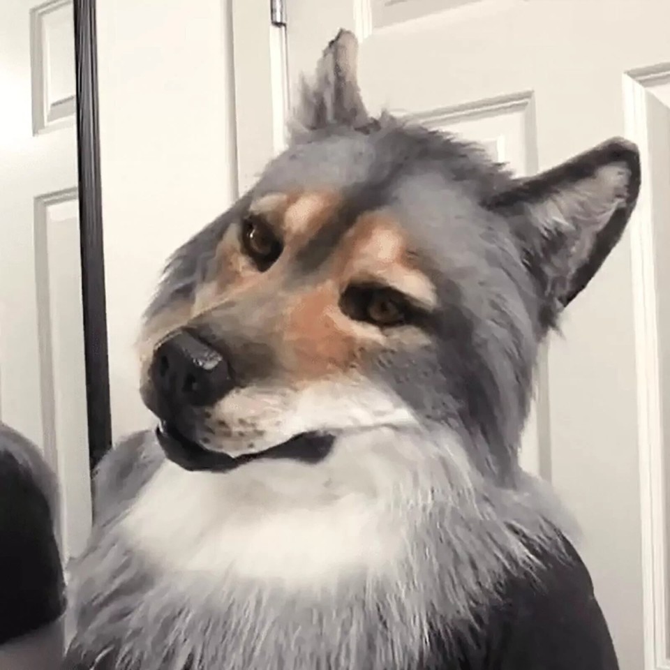 Halloween Cosplay Headdress Costume Mask Wolf Headwear Costume Mask