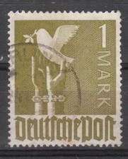 1 M Taube in der seltenen Farbe aa, Farbbestimmung Arge