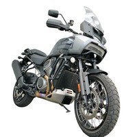 Schutzgitter FüR Harley-Davidson PAN America 1250 HeizköRper