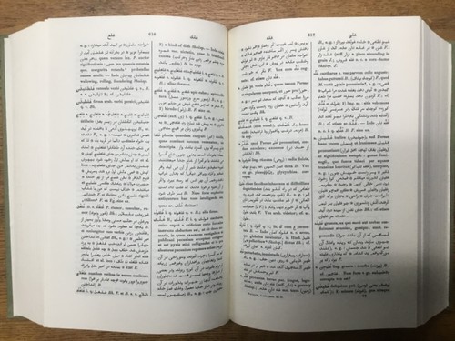 Lexicon Persico Latinum, Vol 1, 2, 3, Johann August Vullers, Latin Edition - Picture 6 of 9