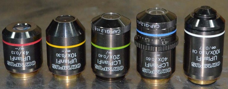 Olympus IX70 Inverted Fluorescence Microscope [#A405] | eBay