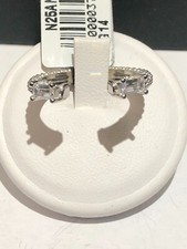 NOVE25 Fedina apeta puntinata