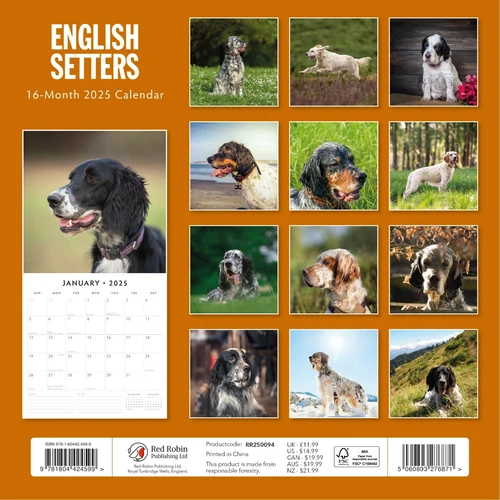 English Setters 2025 Square Wall Calendar