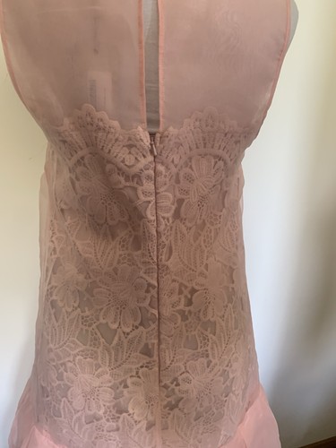 RRP£119 BNWT COAST Organza&Lace Puff Ball Hem Dress Blush Sz10 - Picture 5 of 9