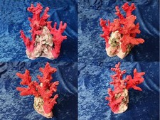 AQUARIUM FAKE CORAL BEAUTIFUL SIZE IS 8" X 6" X 3 1/2" FREE SAME DAY SHIPPING