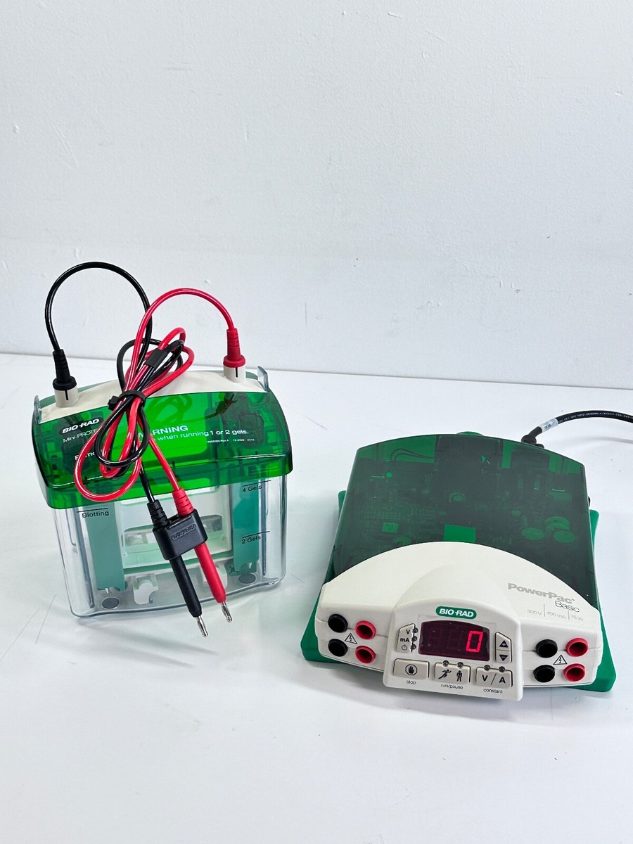BIO-RAD PowerPac Basic Electrophoresis Power Supply w/ Mini
