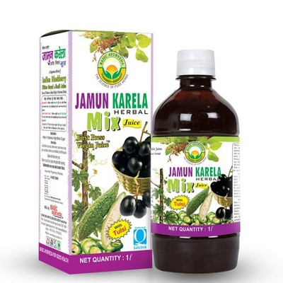 Basic Ayurveda Jamun Karela Kräutermix Saft 1000ml