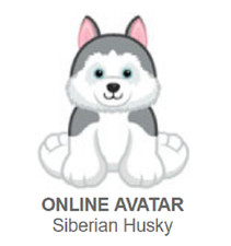 Webkinz Classic Siberian Husky Code Only messaged