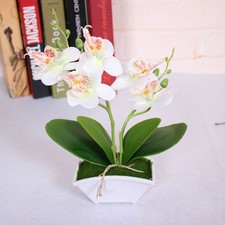 White Artificial Phalaenopsis Orchid Set
