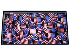 Flags R Flying Bow Tie and Cummerbund Set