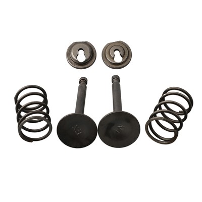 Kompletter Motor Ventilfedern Satz für GX200 mehrfach einsetzbar
