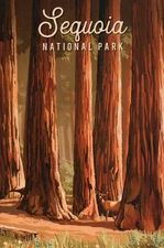 Sequoia National Park, Big Trees, California, 2nd NP 1890 CA --- Modern Postcard