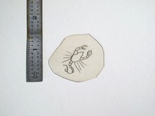 vtg 1960s 1970s Tattoo acetate stencil Zodiac Signs Small Scorpion v4 ZOD2