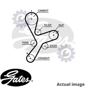 does a back brace work