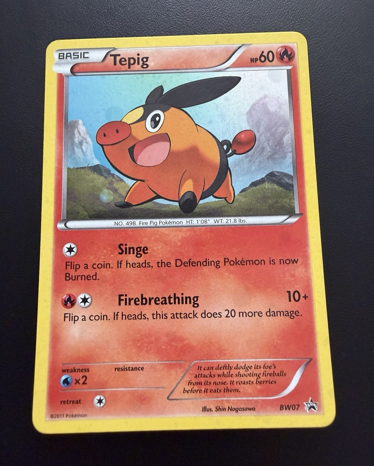 Tepig BW07 Pokémon TCG Black & White Holo Promo