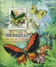 Sello de mariposas Ornithoptera Meridionalis Pieris Brassicae Wollastoni S/S MNH