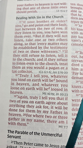 Zondervan NIV Personal Size Reference LARGE PRINT Leathersoft Teal/Aqua NICE - Picture 22 of 23