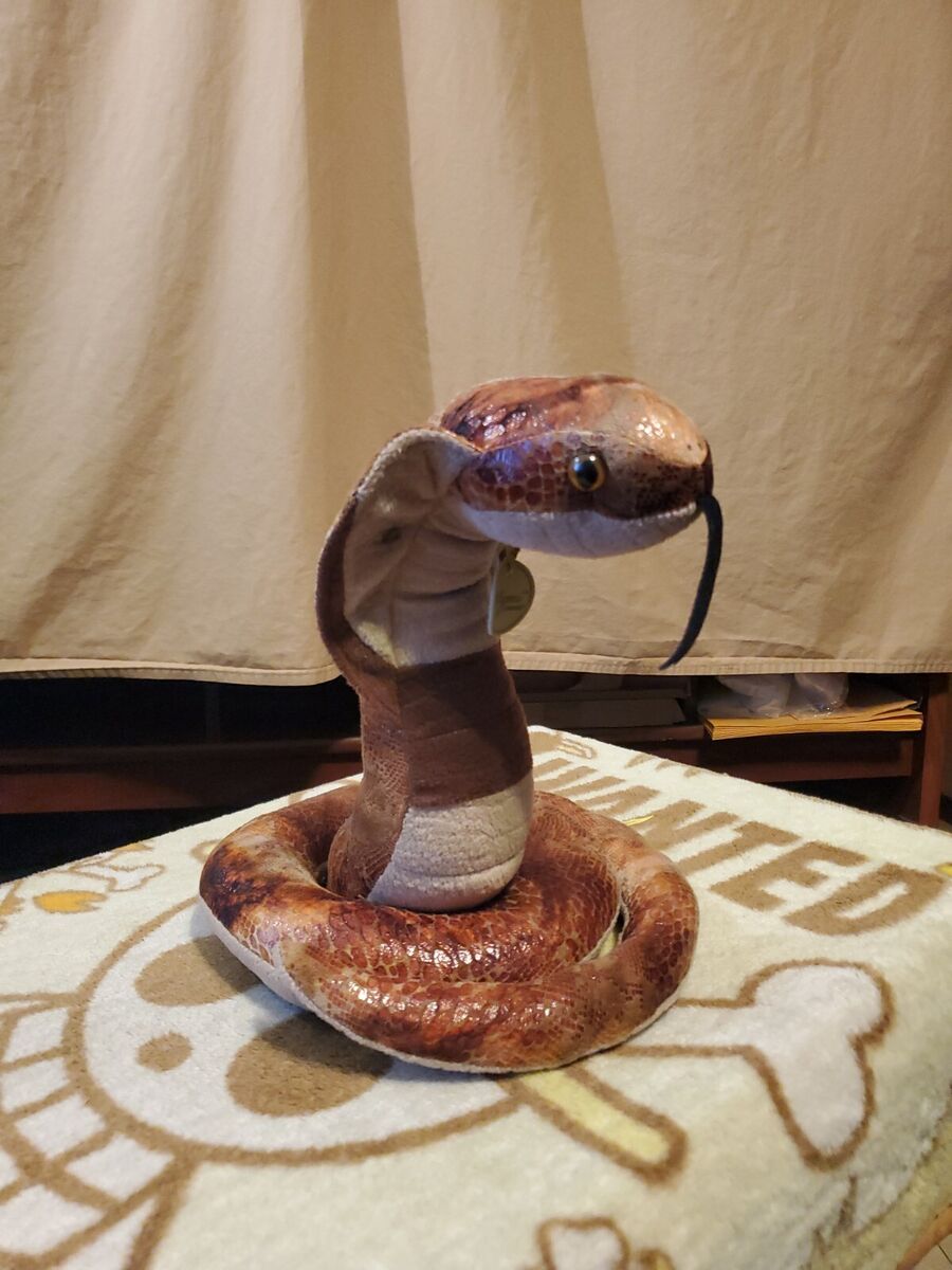 13 Inch Animal Figure Coiled King Cobra Snake Collectible Display