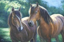 Ceramic Backsplash Tile Mural Horse Animal Kitchen/Bathroom - Spanish Sisters
