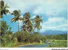 AMEP10-0865-MARTINIQUE - paysage - les pietons du carbet - vus de l'acajou