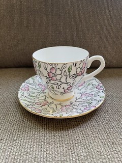 Vintage English Castle Tea Cup Bone China