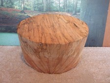 SPALTED MAPLE 9 x 4 TURNING WOOD DEEP BOWL BLANK