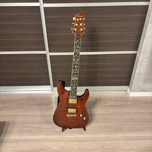 Shecter Diamond Series A-1、ハードケース付き Schecter Diamond Series Platinum | eBay